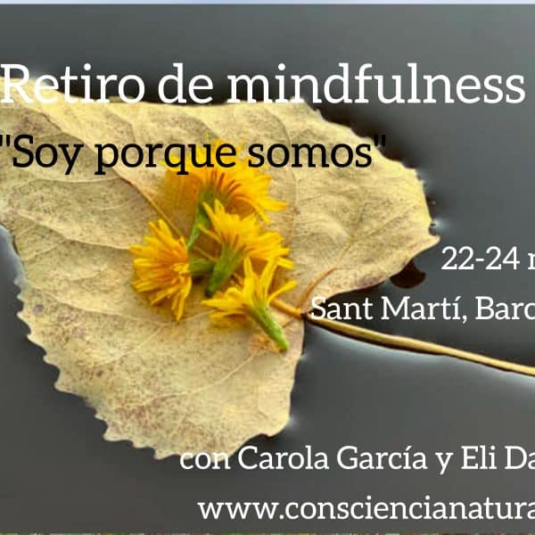 Mindfulness: retiro de fin de semana