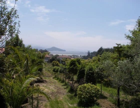 Inmersión en el Corazón de la Naturaleza – Os Ancares, 16-20 julio 2026