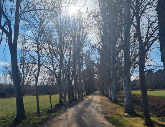 Cinco días de retiro en silencio – Retiro de mindfulness en Soria, 29 abril al 4 mayo 2026