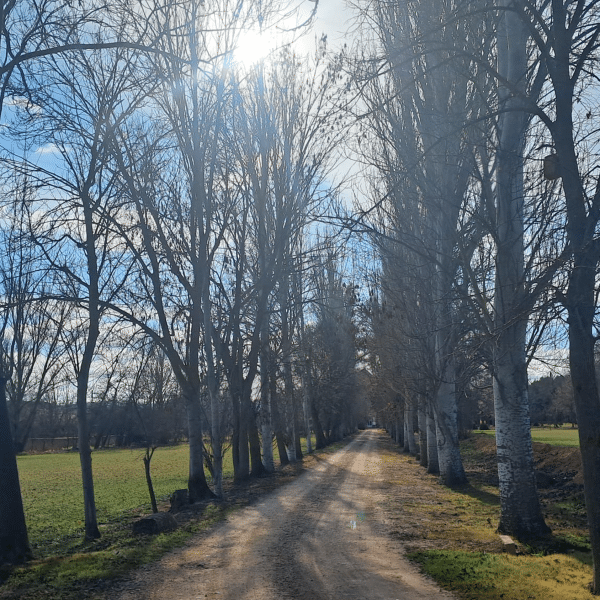 Jardín paseo