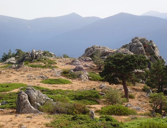 Retiro de naturaleza: El viaje que reconecta